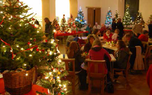 Festival of Decorated Christmas Trees